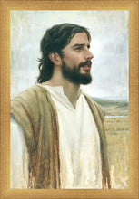 Load image into Gallery viewer, Clarity In His Mission