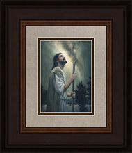 Load image into Gallery viewer, In Awe of His Creations