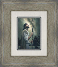 Load image into Gallery viewer, In Awe of His Creations