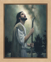 Load image into Gallery viewer, In Awe of His Creations