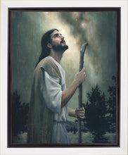 Load image into Gallery viewer, In Awe of His Creations