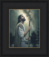 Load image into Gallery viewer, In Awe of His Creations