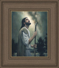 Load image into Gallery viewer, In Awe of His Creations