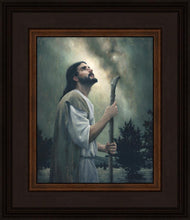 Load image into Gallery viewer, In Awe of His Creations