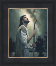 Load image into Gallery viewer, In Awe of His Creations