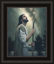 Load image into Gallery viewer, In Awe of His Creations