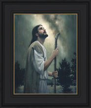 Load image into Gallery viewer, In Awe of His Creations