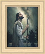 Load image into Gallery viewer, In Awe of His Creations