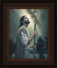 Load image into Gallery viewer, In Awe of His Creations
