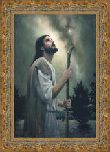 Load image into Gallery viewer, In Awe of His Creations