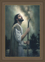 Load image into Gallery viewer, In Awe of His Creations