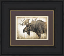 Load image into Gallery viewer, Majesty Gallery Wrap
