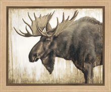 Load image into Gallery viewer, Majesty