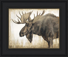Load image into Gallery viewer, Majesty