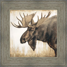 Load image into Gallery viewer, Majesty