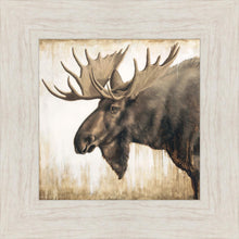 Load image into Gallery viewer, Majesty