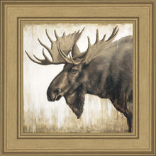 Load image into Gallery viewer, Majesty