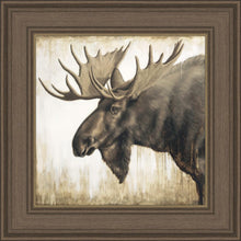 Load image into Gallery viewer, Majesty