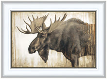 Load image into Gallery viewer, Majesty