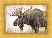 Load image into Gallery viewer, Majesty Gallery Wrap