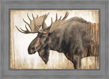 Load image into Gallery viewer, Majesty Gallery Wrap