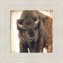 Load image into Gallery viewer, Strength