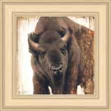 Load image into Gallery viewer, Strength