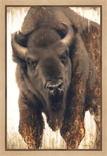 Load image into Gallery viewer, Strength