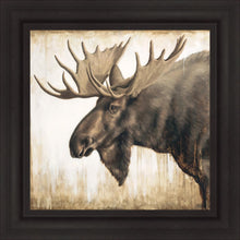 Load image into Gallery viewer, Majesty