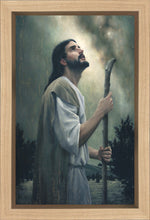 Load image into Gallery viewer, In Awe of His Creations