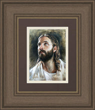 Load image into Gallery viewer, Savior