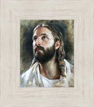 Load image into Gallery viewer, Savior