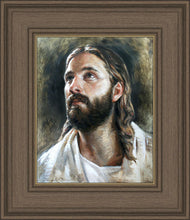Load image into Gallery viewer, Savior