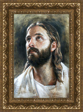 Load image into Gallery viewer, Savior