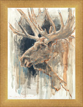 Load image into Gallery viewer, Shades of Nature