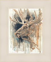 Load image into Gallery viewer, Shades of Nature