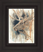 Load image into Gallery viewer, Shades of Nature