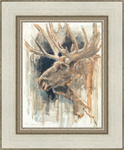 Load image into Gallery viewer, Shades of Nature