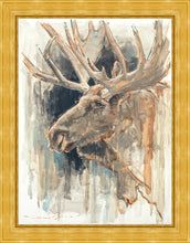 Load image into Gallery viewer, Shades of Nature