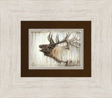 Load image into Gallery viewer, Nature's Art