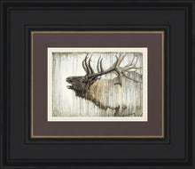 Load image into Gallery viewer, Nature's Art