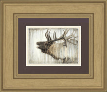 Load image into Gallery viewer, Nature's Art