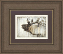 Load image into Gallery viewer, Nature's Art