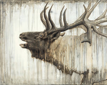 Load image into Gallery viewer, Nature's Art Gallery Wrap