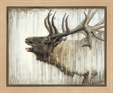 Load image into Gallery viewer, Nature's Art Gallery Wrap