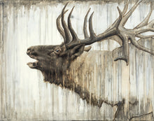 Load image into Gallery viewer, Nature's Art Gallery Wrap