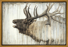 Load image into Gallery viewer, Nature's Art Gallery Wrap