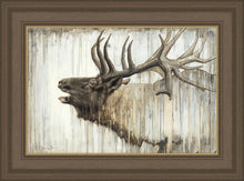 Load image into Gallery viewer, Nature's Art