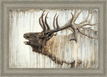 Load image into Gallery viewer, Nature's Art