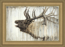 Load image into Gallery viewer, Nature's Art